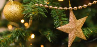 A Caorle si accende il Natale: venerdì 8 dicembre Albero di natale, Caorle