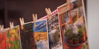 Stagione culturale 2023-2024 a Caorle: racconti e fotografie Stagione culturale, Caorle, fotografie, racconti