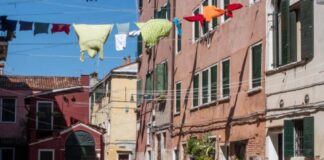 ‘Eden Bacchanal’ svela il linguaggio della materia organica al (Re)Create Studio di Venezia recreate studio venezia