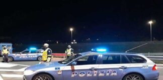 Sicurezza stradale: servizi congiunti tra le forze di polizia controlli, polizia, servizi congiunti, sicurezza stradale