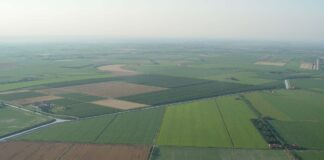 Canale Revedoli: quasi 3 milioni per il rinforzo degli argini veduta aerea della campagna di Eraclea