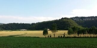 Giornata Regionale per i Colli Veneti: approvato l’Avviso pubblico Giornata Regionale per i Colli Veneti