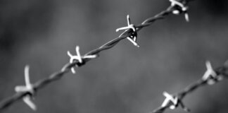 Portogruaro e le iniziative per la “Giornata della Memoria” Giornata della Memoria, Portogruaro, Shoah