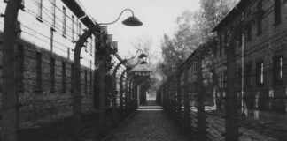 Pramaggiore omaggia il Maestro Lino Masat nel Giorno della memoria Campo di concentramento, Shoah, Pramaggiore, Lino masat