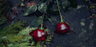 Commemorazione del Maresciallo Savino Sinisi, ‘Vittima del Dovere’ Commemorazione, Maresciallo Savino Sinisi