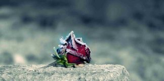 Teglio Veneto: ‘Il cielo può attendere’, docufilm sul 16 gennaio 1944 Teglio Veneto, commemorazione, docufilm bombardamento