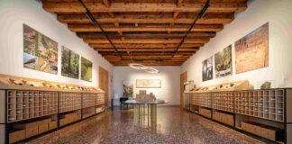 Villa Bogdano 1880 a Lison: un viaggio tra storia, natura e vini Villa Bogdano 1880, Lison