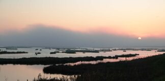 2 febbraio, Giornata Mondiale delle Zone Umide La Laguna di Venezia