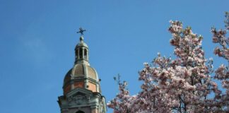 Festa di Primavera: un’invasione di colori e profumi a Latisana Latisana, Festa di Primavera