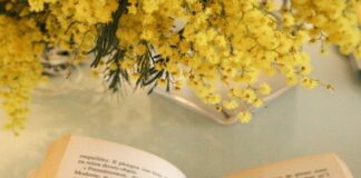 Concordia: per l’8 marzo un Festival letterario dedicato alle donne Giornata Internazionale della Donna, Concordia, mimose, letteratura, libri