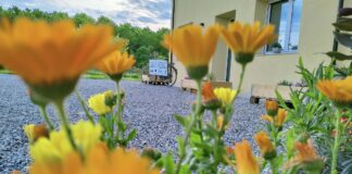 Cicloturismo, passeggiate, arte e musica: tutti gli eventi all’agriturismo Le Crede L'agriturismo Le Crede a Portogruaro