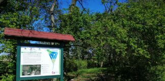 Passeggiando nel Giardino Botanico di Portogruaro Il Giardino Botanico di Portogruaro