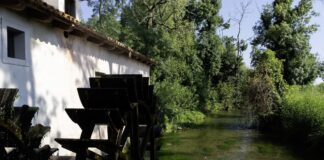 Stalis tra arte, storia e natura I Mulini di Stalis