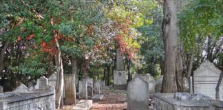 Riapre domani l’antico Cimitero Ebraico al Lido di Venezia. Un luogo che sembra aver sospeso il tempo riapre cimitero ebraico lido di venezia