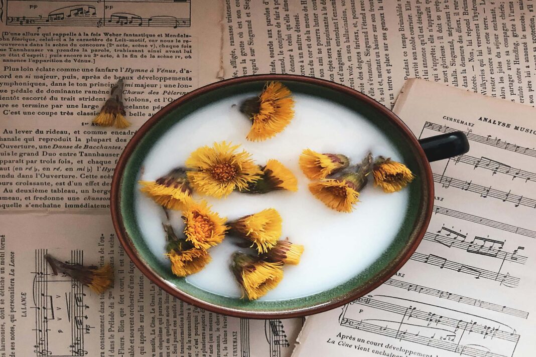 piatto con latte e fiori su sfondo di spartiti musicali