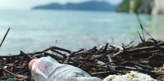 Dal mare al futuro: anche VeGAL con SINLOC per trasformare i rifiuti dell’Adriatico in opportunità bottiglia di plastica in riva al mare