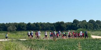 Biodiversità a portata di mano con i tesori naturali del Veneto Orientale