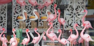 Arrivederci a Bibione: arrivano i manifesti per il dopo stagione Una vetrina di un negozio