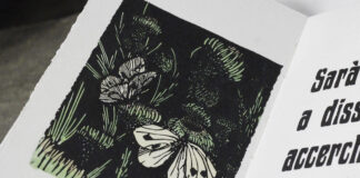 Arriva a Caorle ‘Libri di Versi’, la 16esima edizione su libri d’artista e d’oggetto