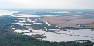 Giornata FAI d’Autunno 2024: alla scoperta dell’Oasi Naturalistica della Valgrande di Bibione