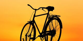 Cicloturismo nella Venezia Orientale: Workshop e Webinar Una bicicletta
