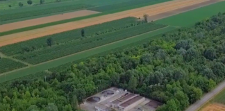 Tutela del Bosco Belvedere: conferenza finale a Venezia