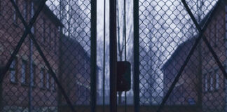 L’Amico Ritrovato: lettura scenica e musica per il Giorno della Memoria a San Vito al Tagliamento