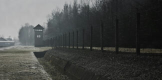 “Le Bambine di Terezin”: uno spettacolo emozionante in occasione della Giornata della Memoria