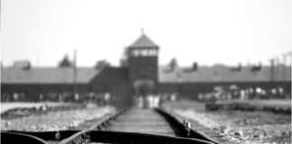 Le Valigie della Storia: un viaggio nella memoria al Museo M9