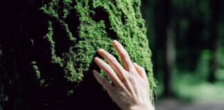 Portogruaro: un nuovo progetto di educazione ambientale e benessere per i giovani