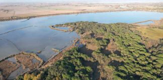 Tour in e-bike all’Oasi Naturalistica Val Grande: un’immersione nella natura incontaminata