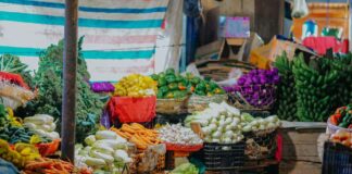 Cibo vegetale, +8% in Italia: superati i 640 milioni di euro cibo vegetale