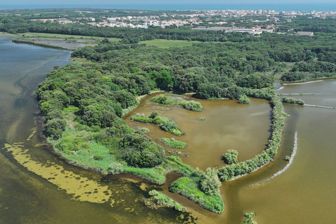 Bibione Val Grande: oasi di biodiversità