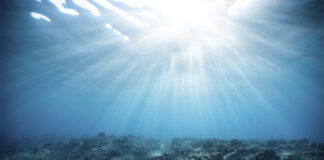 Workshop su Blue Economy e turismo consapevole: un nuovo fabbisogno professionale per il settore marittimo