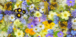 Porto in Fiore: la primavera sboccia a Portogruaro