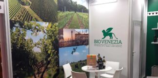 Biovenezia. La realtà del Veneto Orientale nata dagli agricoltori biologici BioVenezia