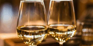 Caorle Wine&Art 2025: vino, arte e territorio nella cornice unica della Scogliera Viva