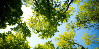 “Sentieri nel verde”: inaugurazione della nuova sentieristica al Giardino Botanico di Portogruaro