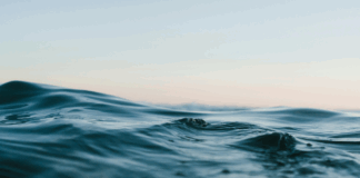 Summit del Mare 2025: giovani e sostenibilità al centro