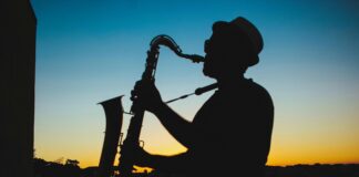 Note di jazz sotto le stelle: il Litorale Jazz Festival incanta Ca’Savio