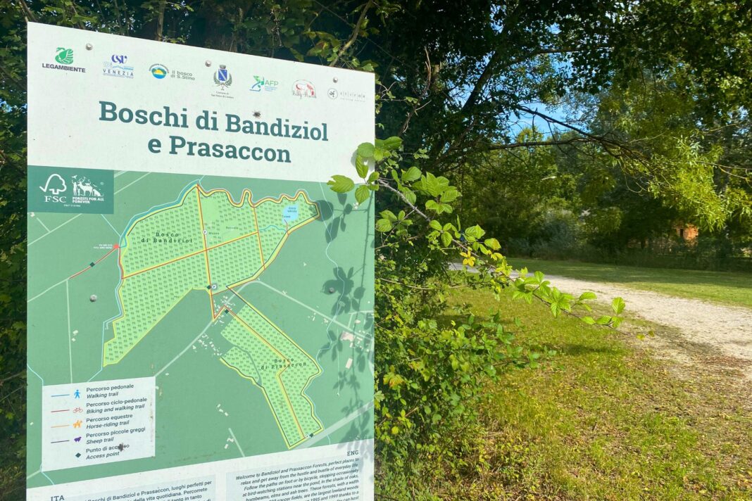 Boschi di Bandiziol e Pressacon