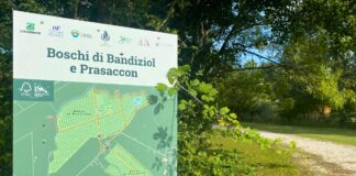 Il Bosco di San Stino di Livenza celebra trent’anni di rinascita biodiversa Boschi di Bandiziol e Pressacon