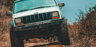 Daytona Beach Jesolo 2025: motori, spettacolo e adrenalina al Faro