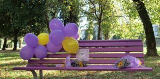 Mestre, due panchine per sensibilizzare su endometriosi e fibromialgia panchine endometriosi e fibromialgia