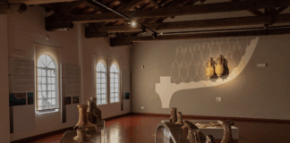 Un ottobre da scoprire al Museo Nazionale di Archeologia del Mare di Caorle