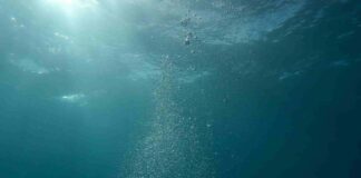 Pubblicato il rapporto su qualità delle acque sotterranee del Veneto rapporto qualità acque sotterranee