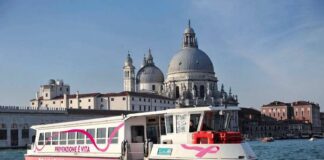 Prevenzione del tumore al seno, La Fenice col Vaporetto rosa vaporetto rosa