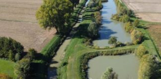 Venezia, via libera all’accordo per il Parco fluviale Marzenego Parco fluviale Marzenego
