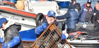 Gondolieri sub, una tonnellata di rifiuti raccolti dai fondali gondolieri sub foto comune di venezia