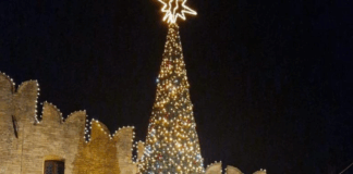 Portogruaro si anima: una domenica tra natura, arte e comunitÃ